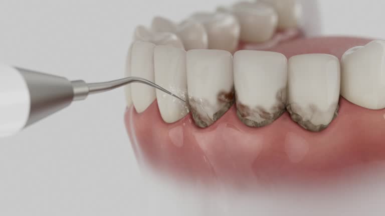 Reliable Dental contractor in Bell County County, TX by Dentist Open Now